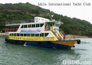 Adela International Yacht Club 雅迪国际游艇会提供豪华游艇餐厅 豪华游艇买卖 游艇海鲜酒家等服务